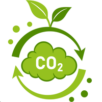 Carbon Neutral Process